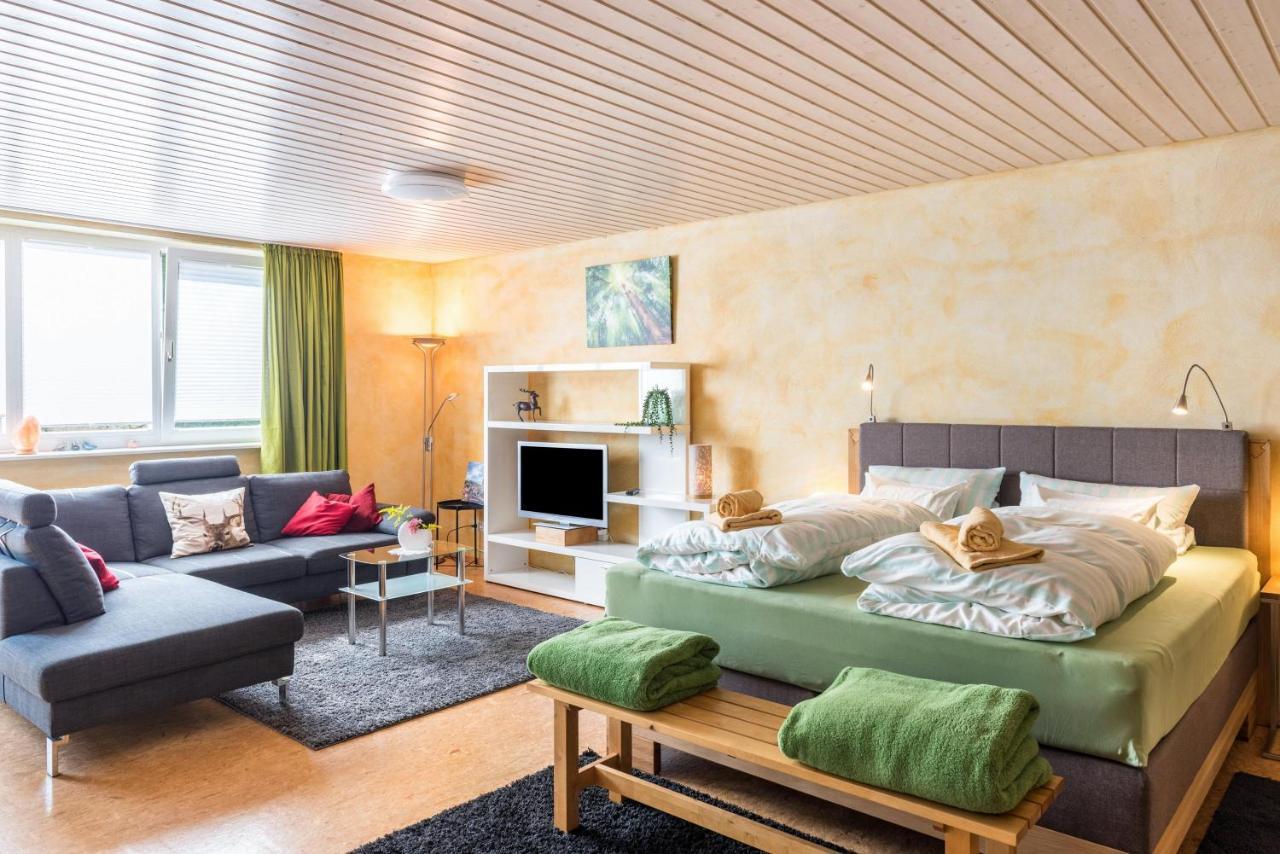 Ferienwohnung Gruenspecht ユーバーリンゲン エクステリア 写真